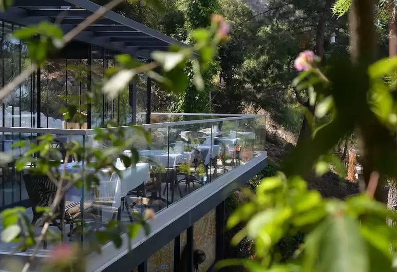 cheap resort hotels to Spend holiday with family