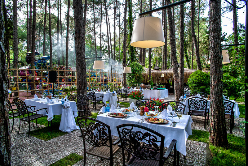 cheap resort hotels to Spend holiday with family