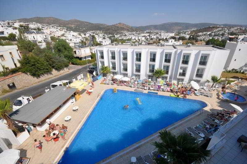 Exotic triangular outdoor pool!
