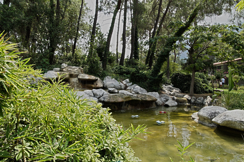 cheap resort hotels to Spend holiday with family