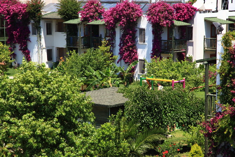 cheap resort hotels to Spend holiday with family