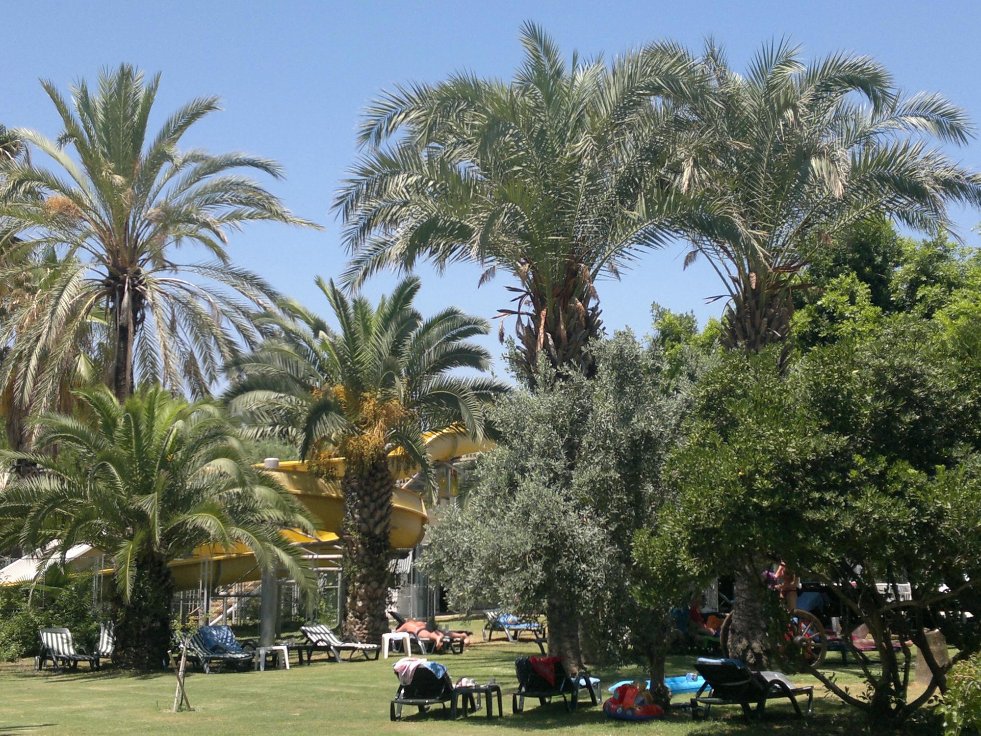 cheap resort hotels to Spend holiday with family