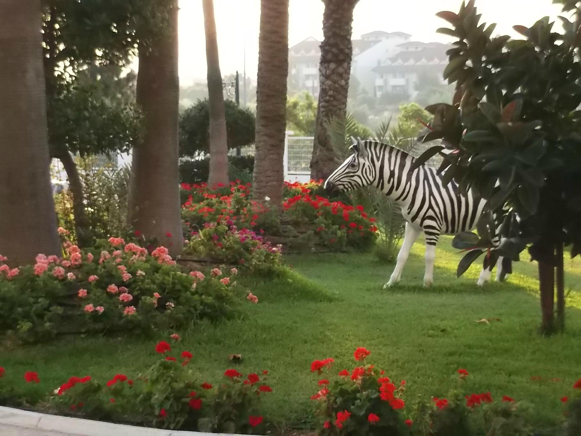 cheap resort hotels to Spend holiday with family