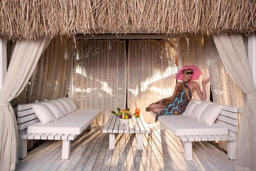 Experience a gastronomic adventure!