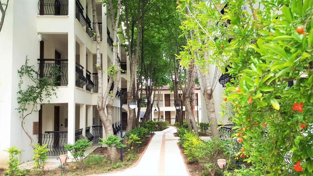 cheap resort hotels to Spend holiday with family