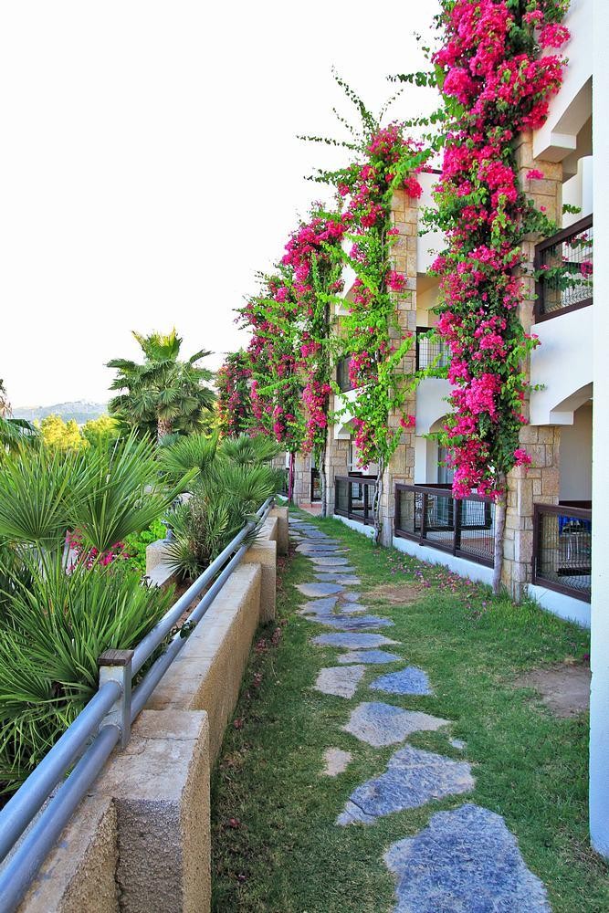 cheap resort hotels to Spend holiday with family