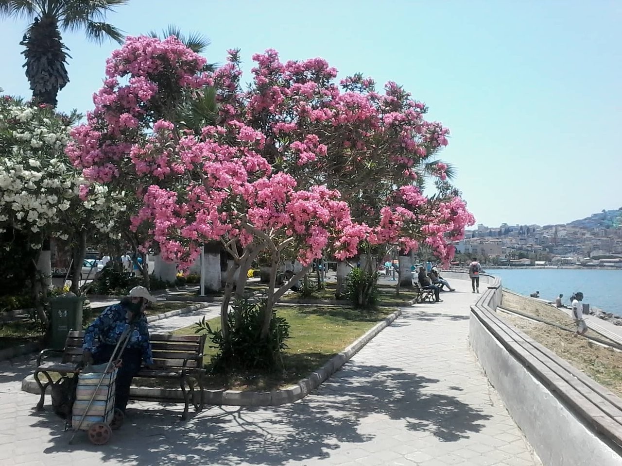 cheap resort hotels to Spend holiday with family