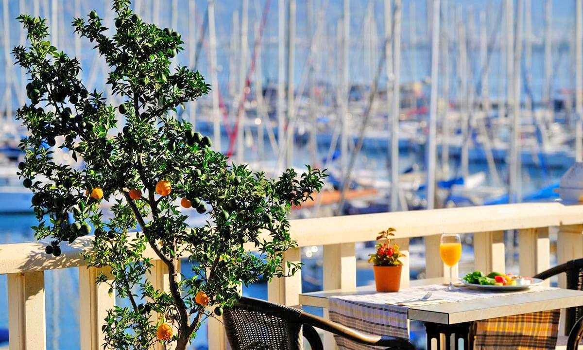 cheap resort hotels to Spend holiday with family