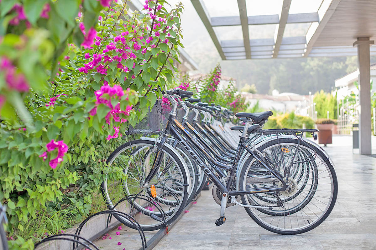 cheap resort hotels in Turkey to Spend holiday with family