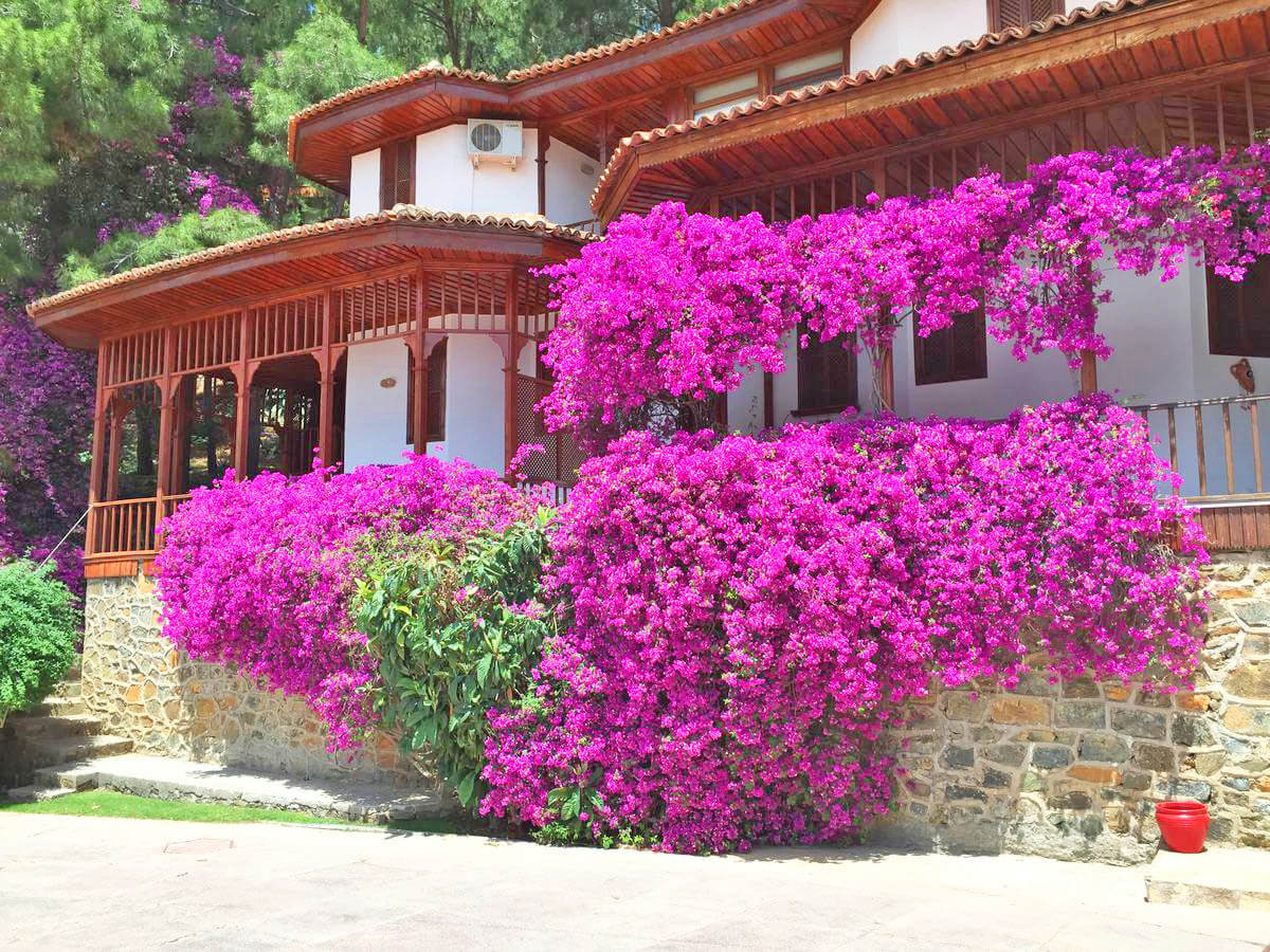 cheap resort hotels to Spend holiday with family