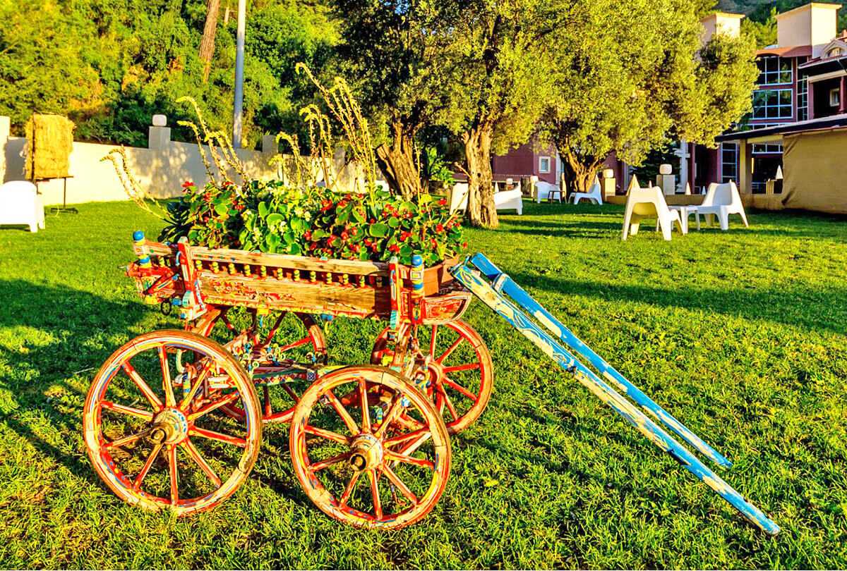 cheap resort hotels to Spend holiday with family