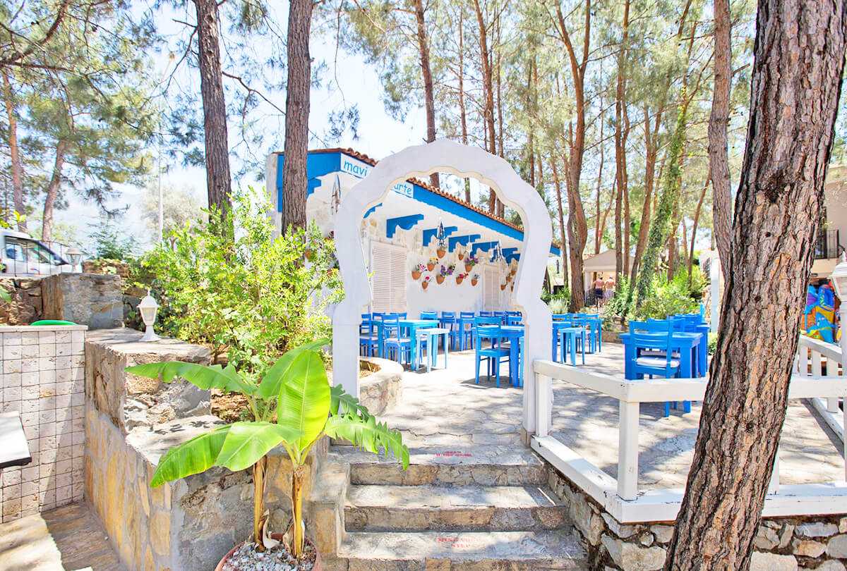 cheap resort hotels to Spend holiday with family