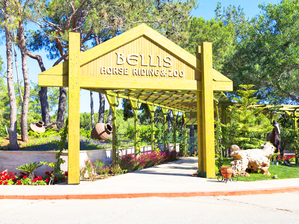 cheap resort hotels in Turkey to Spend holiday with family