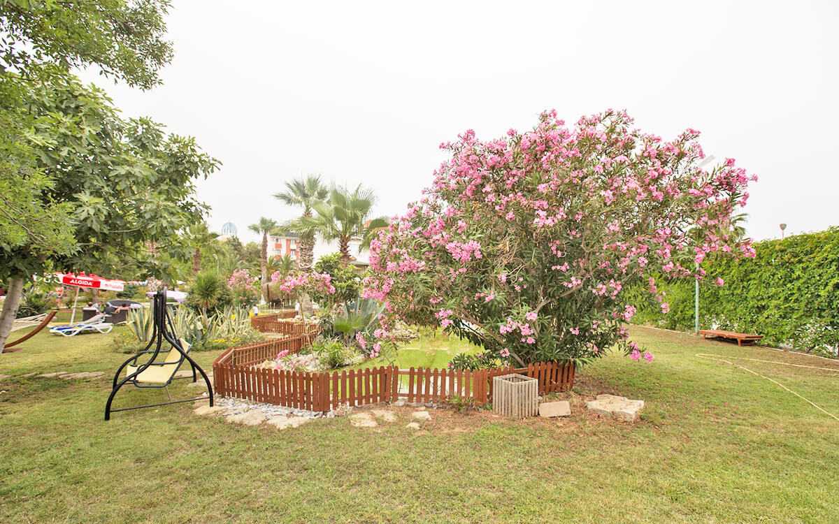 cheap resort hotels to Spend holiday with family