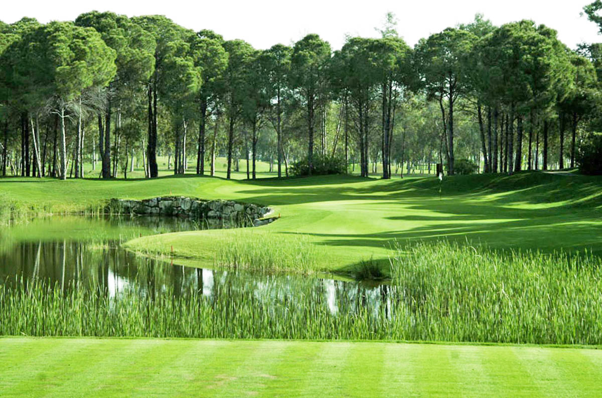 cheap resort hotels in Turkey to Spend holiday with family