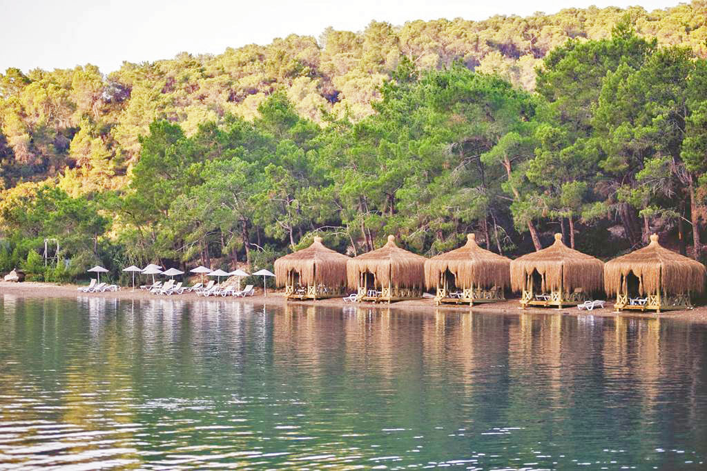 cheap resort hotels to Spend holiday with family