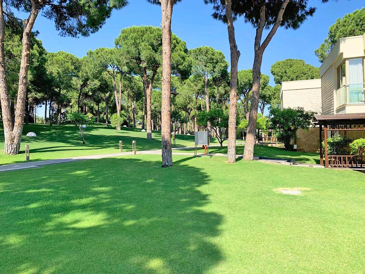 cheap resort hotels to Spend holiday with family