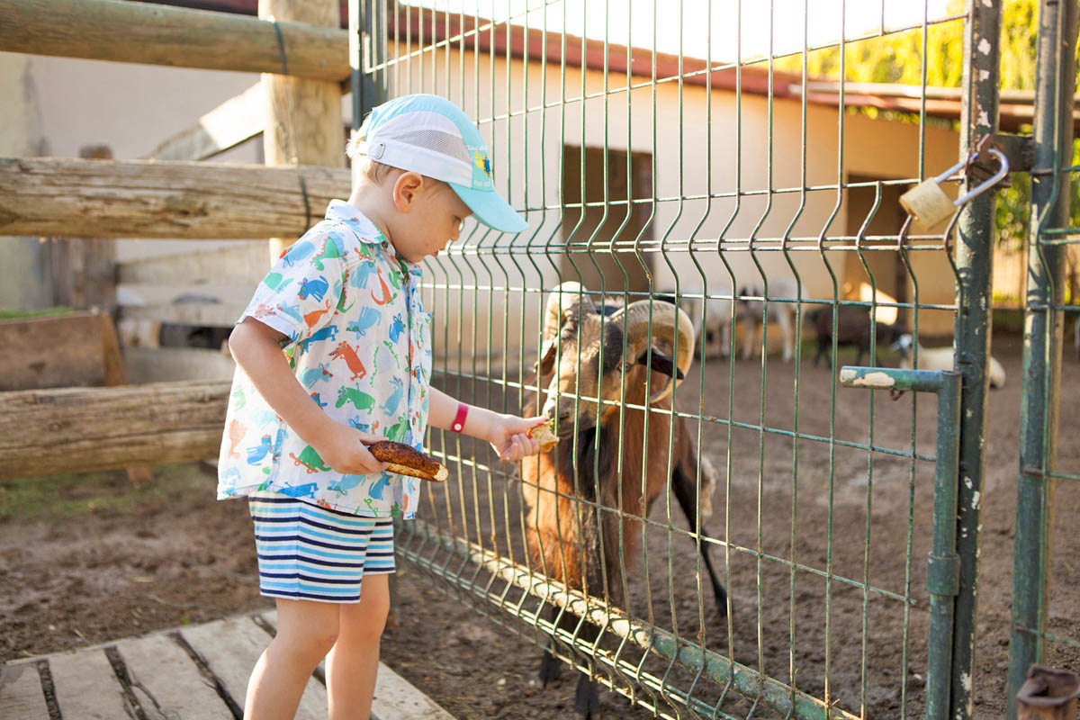 cheap resort hotels in Turkey to Spend holiday with family