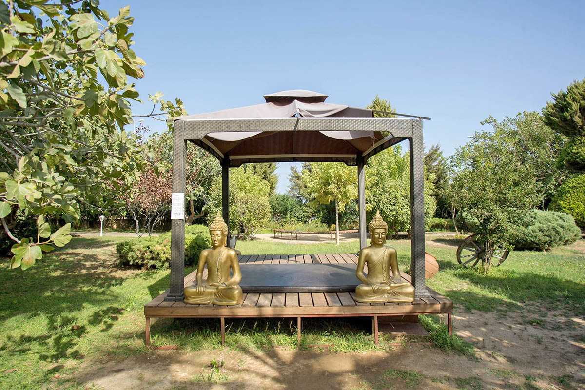 cheap resort hotels to Spend holiday with family