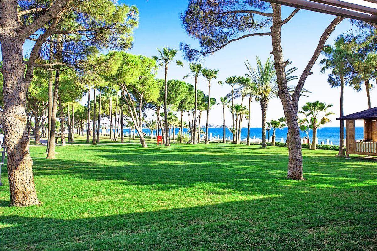 cheap resort hotels in Turkey to Spend holiday with family