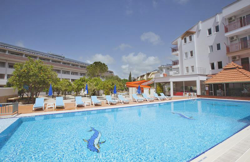 pool catty cats antalya turkey