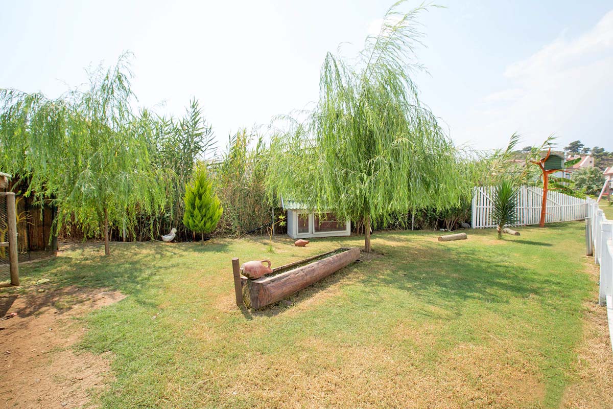 cheap resort hotels in Turkey to Spend holiday with family