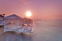 Seas the Day!