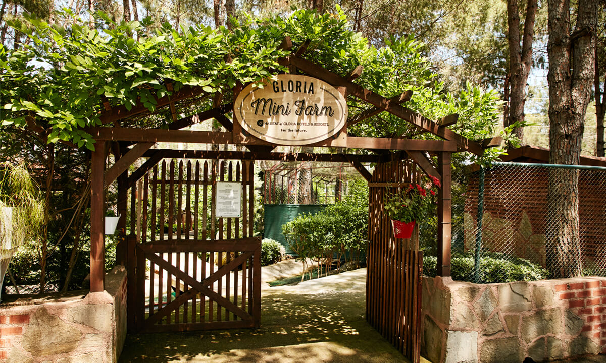 cheap resort hotels in Turkey to Spend holiday with family