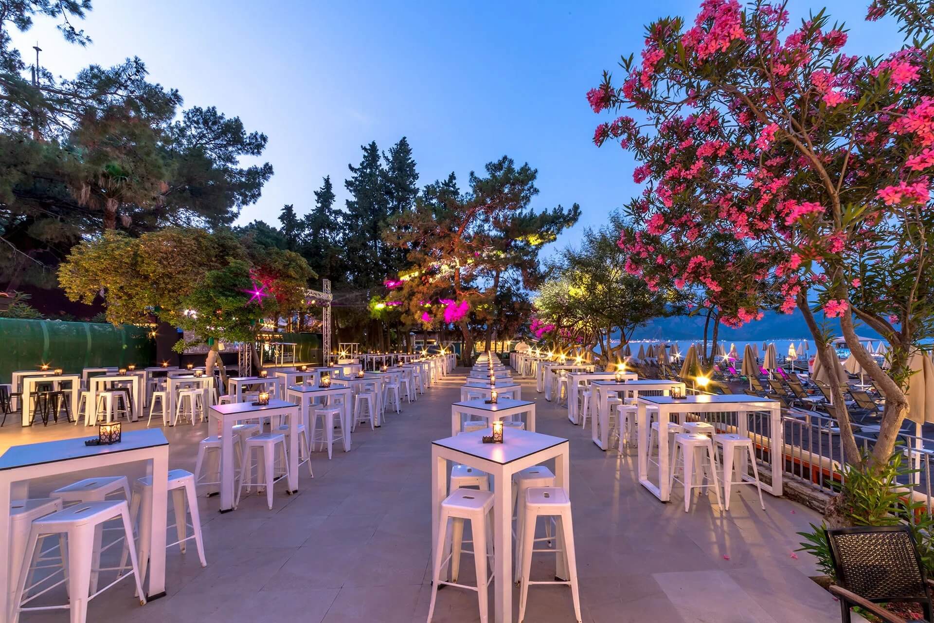 cheap resort hotels to Spend holiday with family