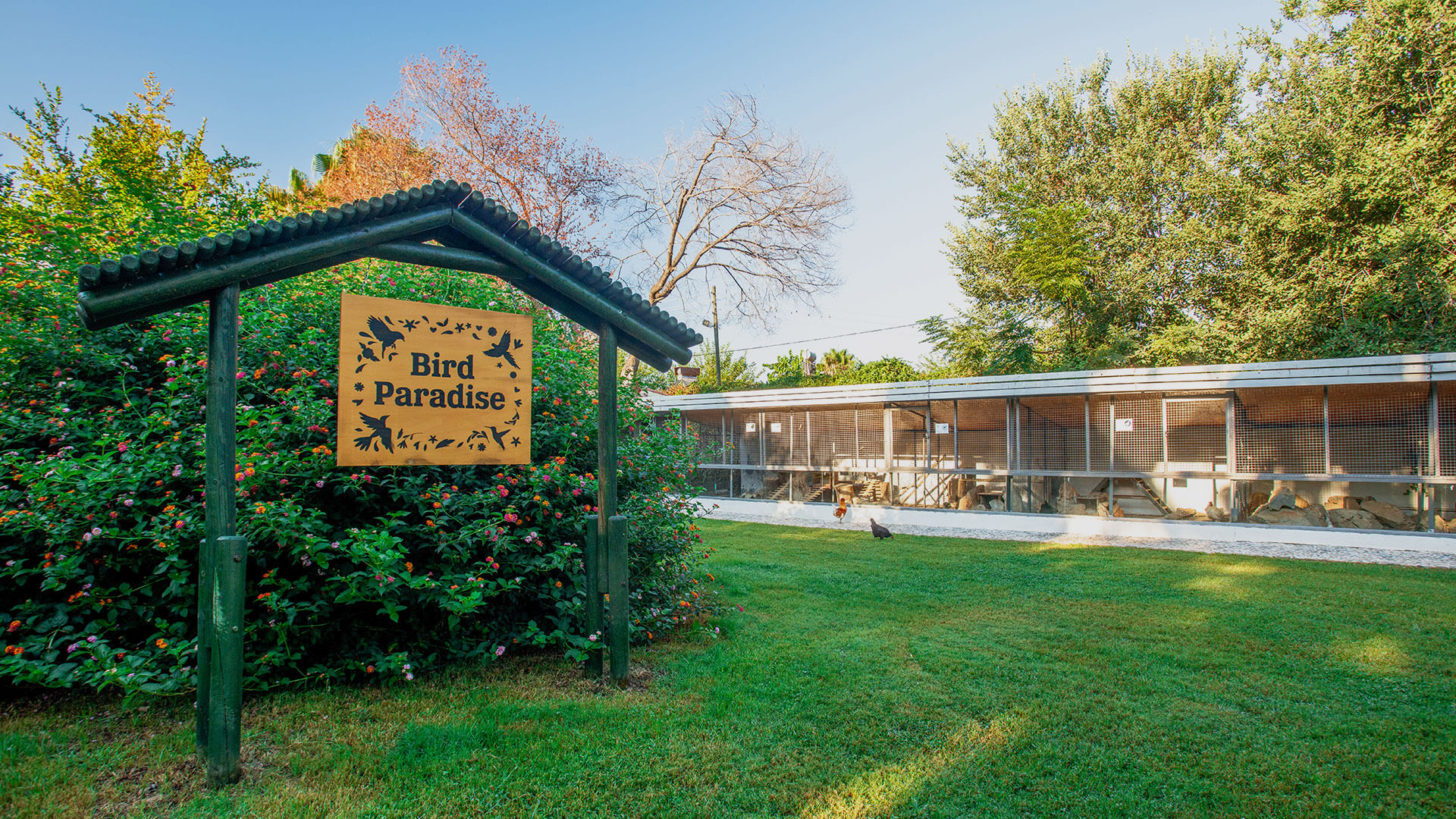 cheap resort hotels in Turkey to Spend holiday with family