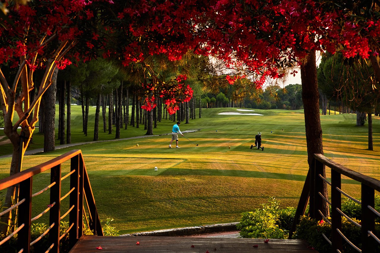 cheap resort hotels in Turkey to Spend holiday with family