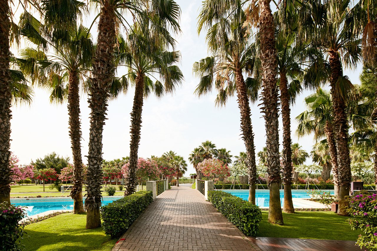 cheap resort hotels in Turkey to Spend holiday with family