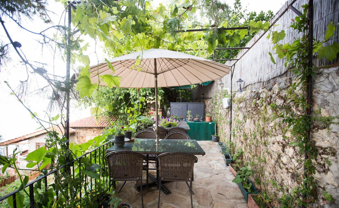 cheap resort hotels to Spend holiday with family