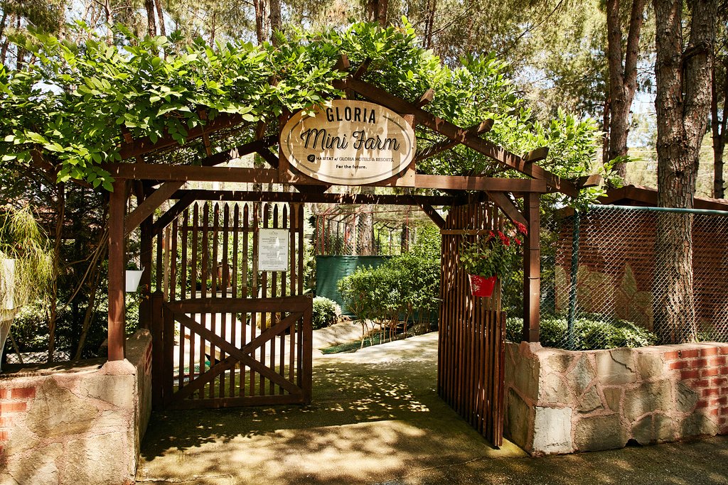 cheap resort hotels in Turkey to Spend holiday with family