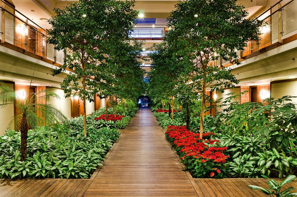 cheap resort hotels in Turkey to Spend holiday with family