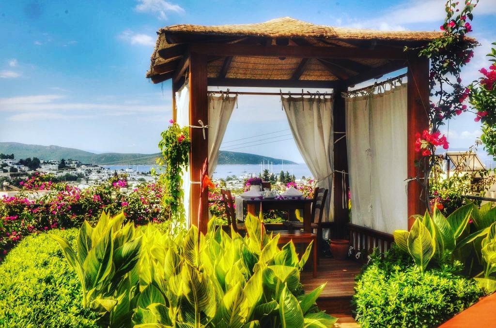 cheap resort hotels to Spend holiday with family